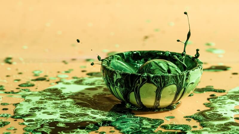 The Green Slime Crisis: Are Backyard Tanks Secretly Fueling Florida’s Algae Blooms?